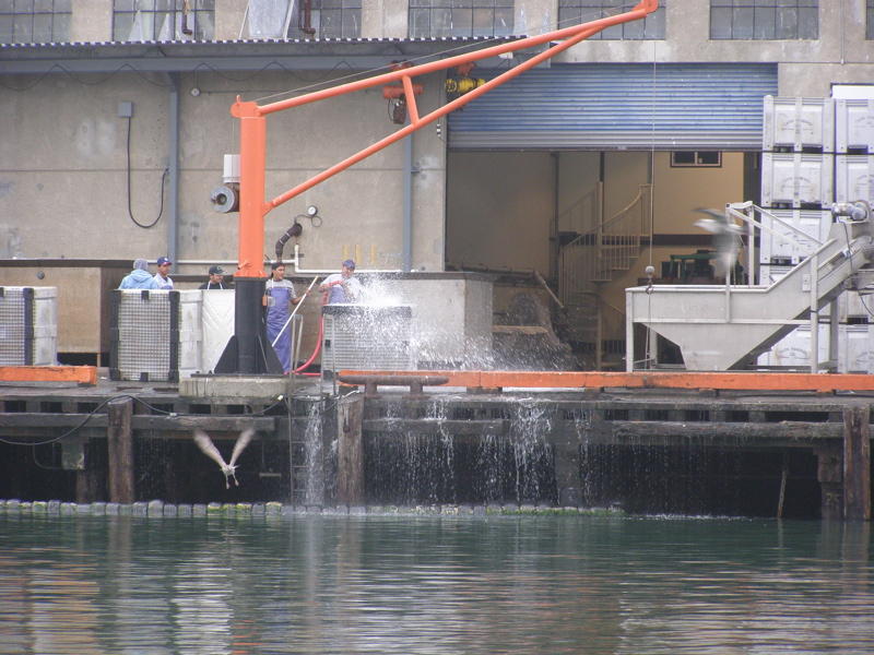PB040153.jpg