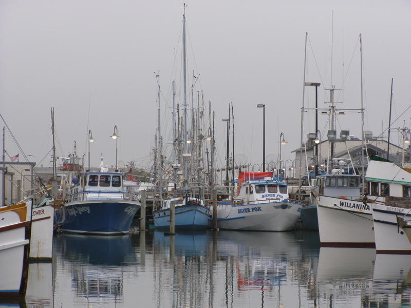 PB040202.jpg