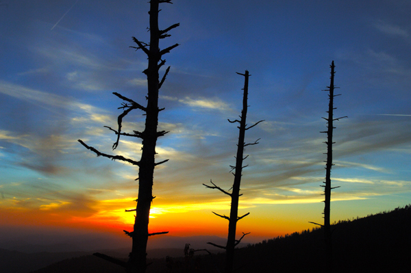West from Clingmans Dome