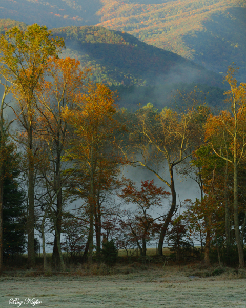 Sentinels