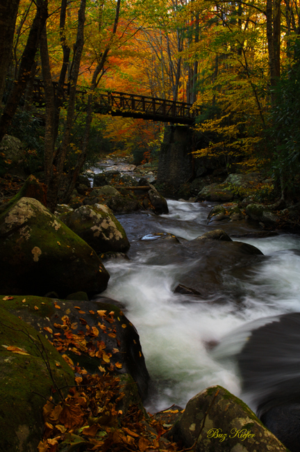 Beneath a Bridge