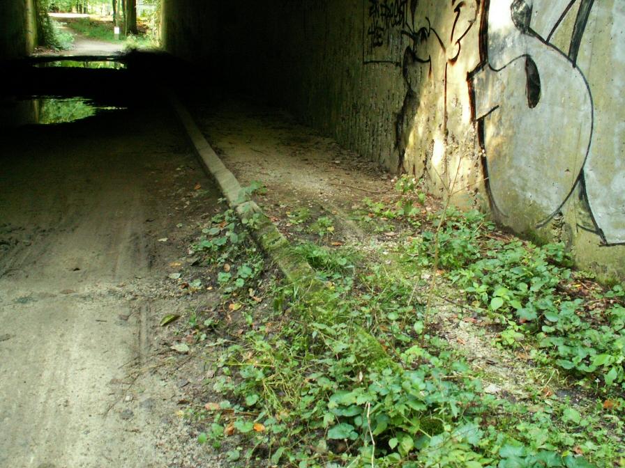 Ring : passage souterrain Wildetijmweg et Raafeikweg.