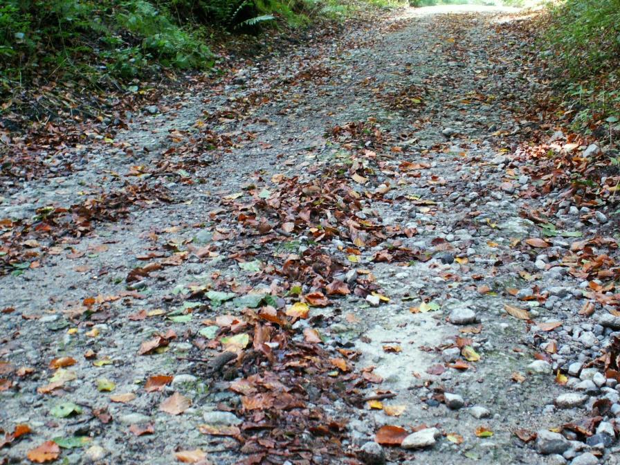 Drve des Bonniers, axe important vers Rode-Sint-Gense (LF6).