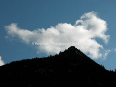 pbase - DJD021020-02-47-14.JPG
