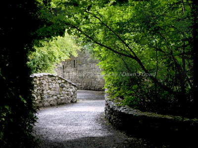 Landscapes