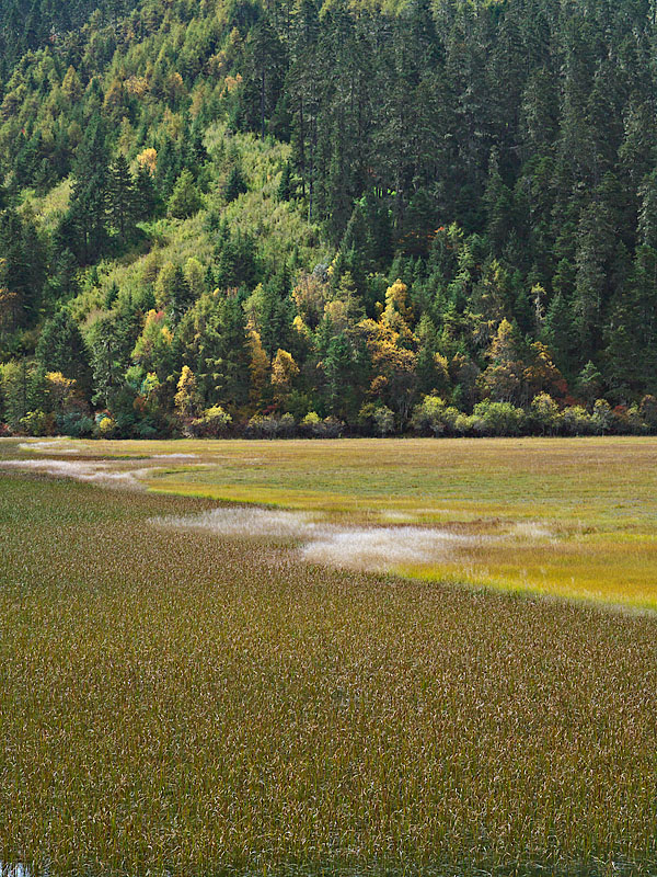 Bitahai Lake