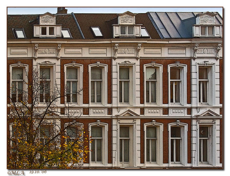 19 original windows (and 4 not)