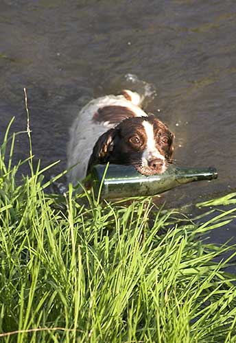 3986 Well trained