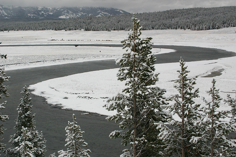 Hayden Valley