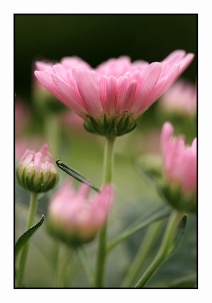 7 oktober 2006