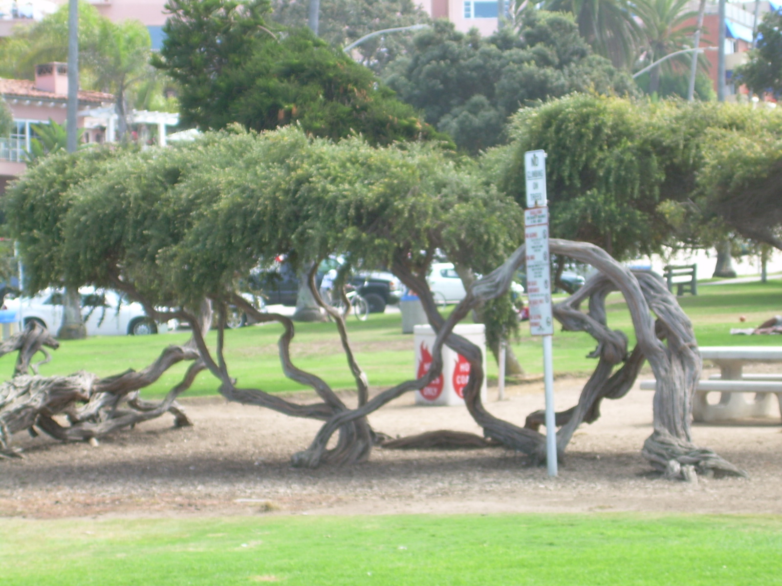 LJDSCN0096.JPG