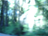 MOV02721.THM