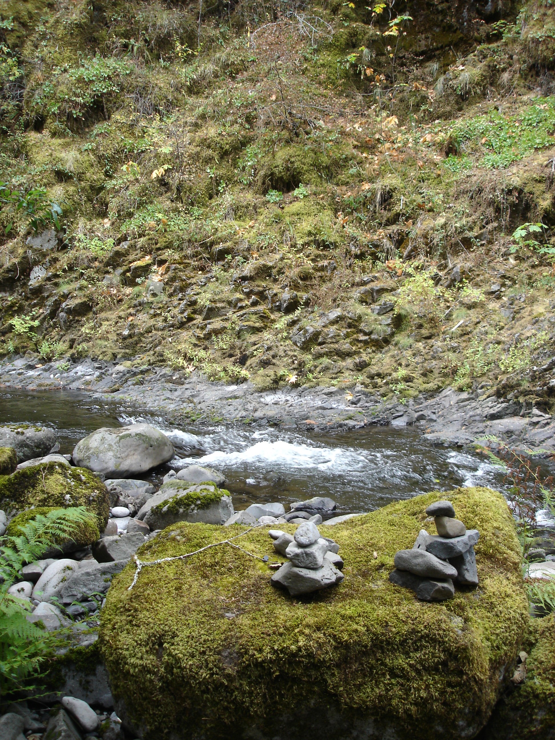 DSC02657.JPG