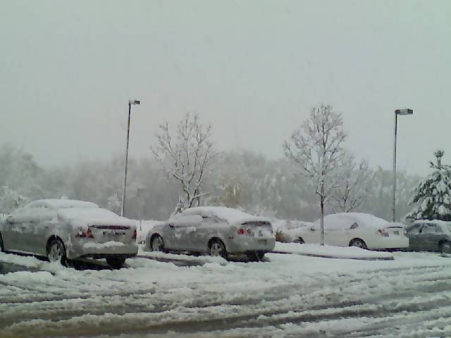 102606_08371.jpg