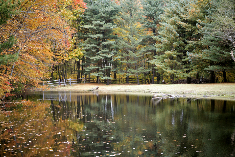Fall At The Gardens, Wyckoff, NJ