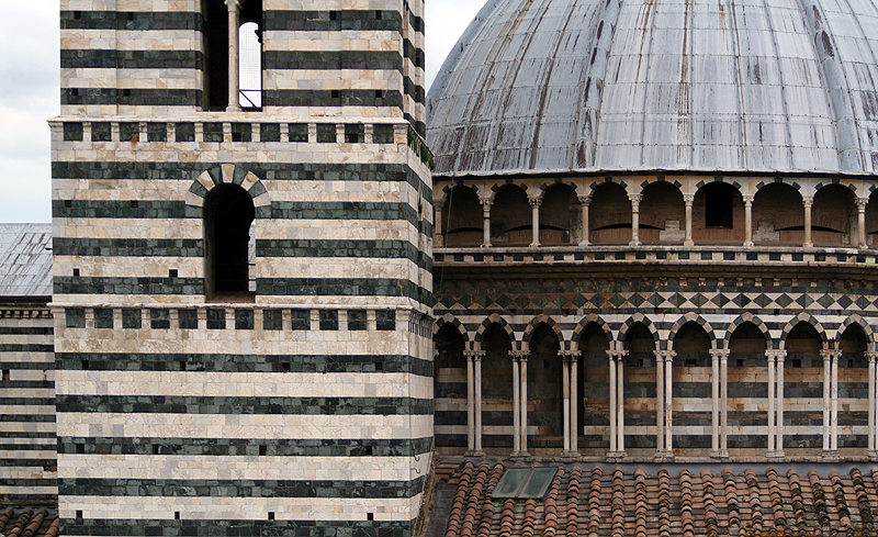 Duomo and Campanile from the Facciatone 7066