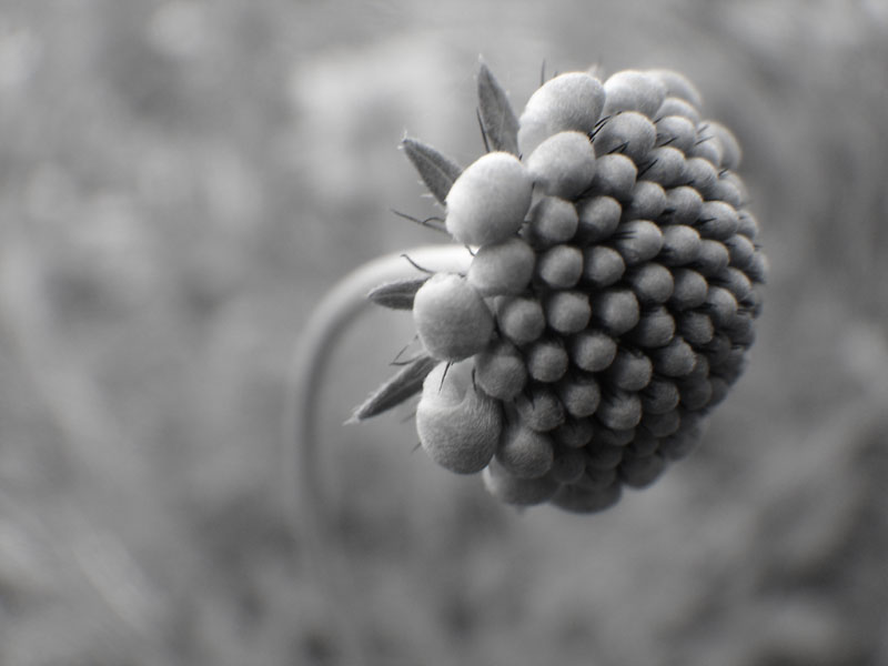 DSC03058.JPG
