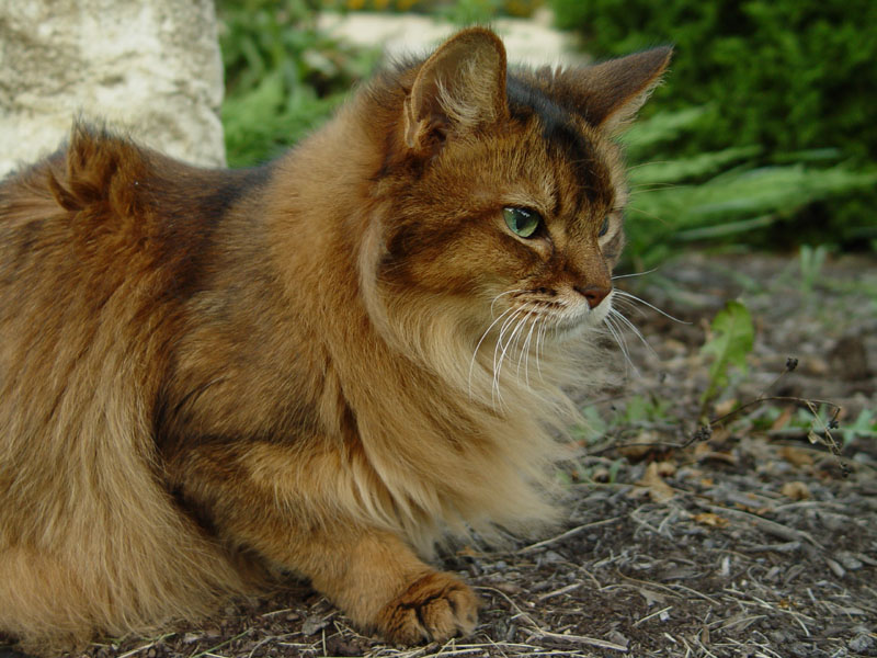 August 31, 2006<br><font size=2>All He Surveys</font>