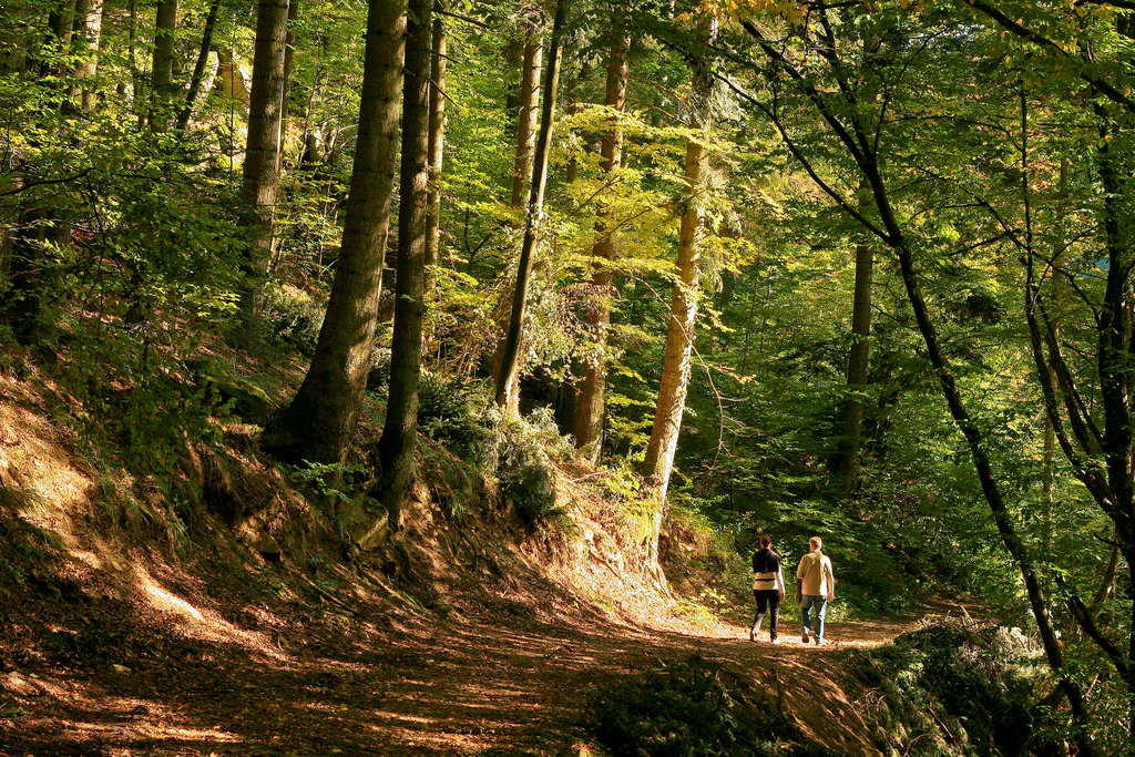 nice stroll...