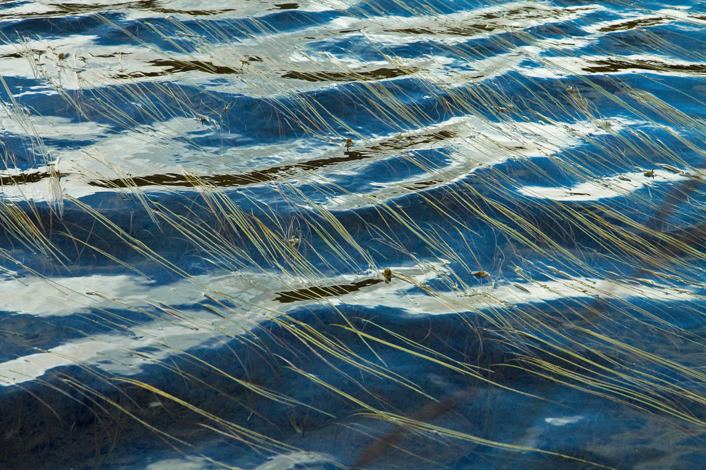 waves on the lake.