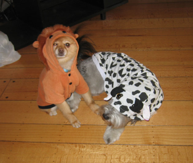 Pookie and Mika dont move when the costumes are on