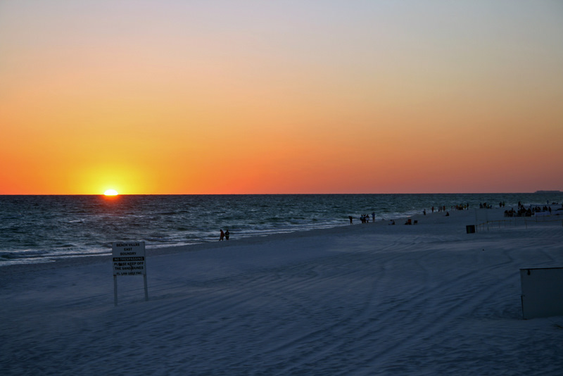 IMG_5015.JPG