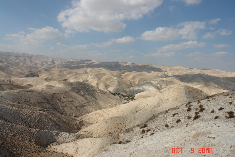 DSC01465.JPG