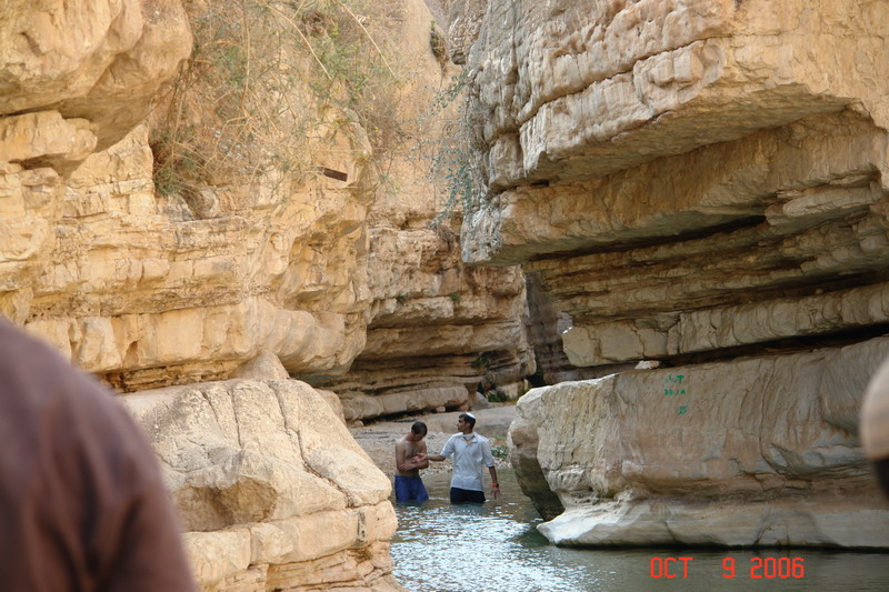DSC01480.JPG