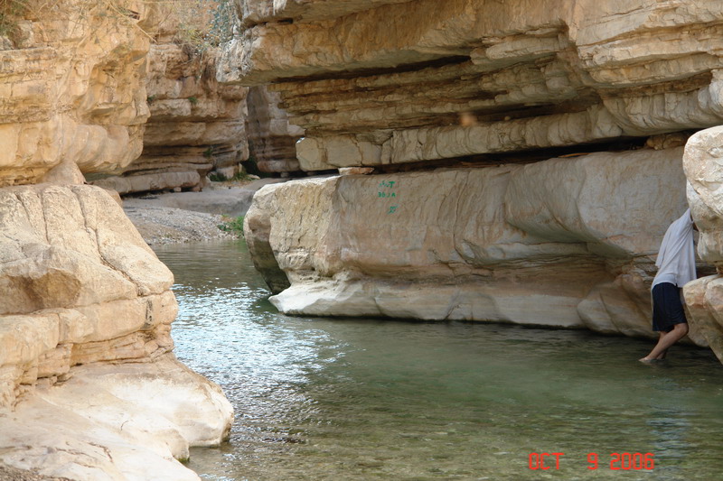 DSC01485.JPG