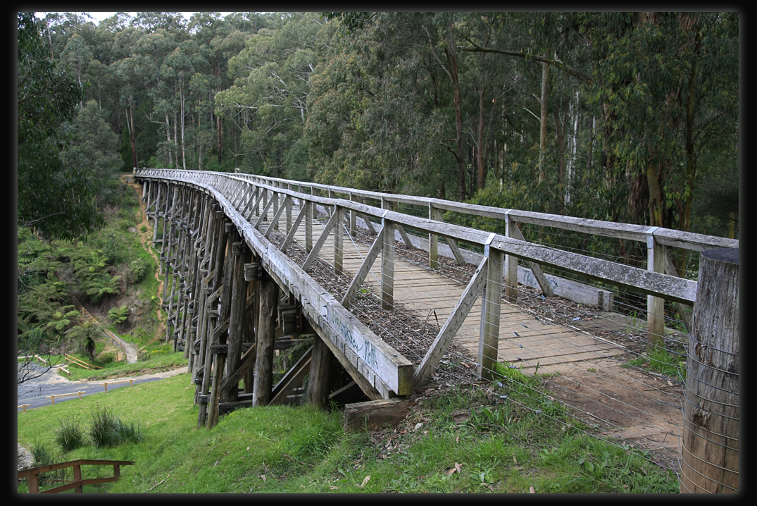 Noojee Trestle Bridge