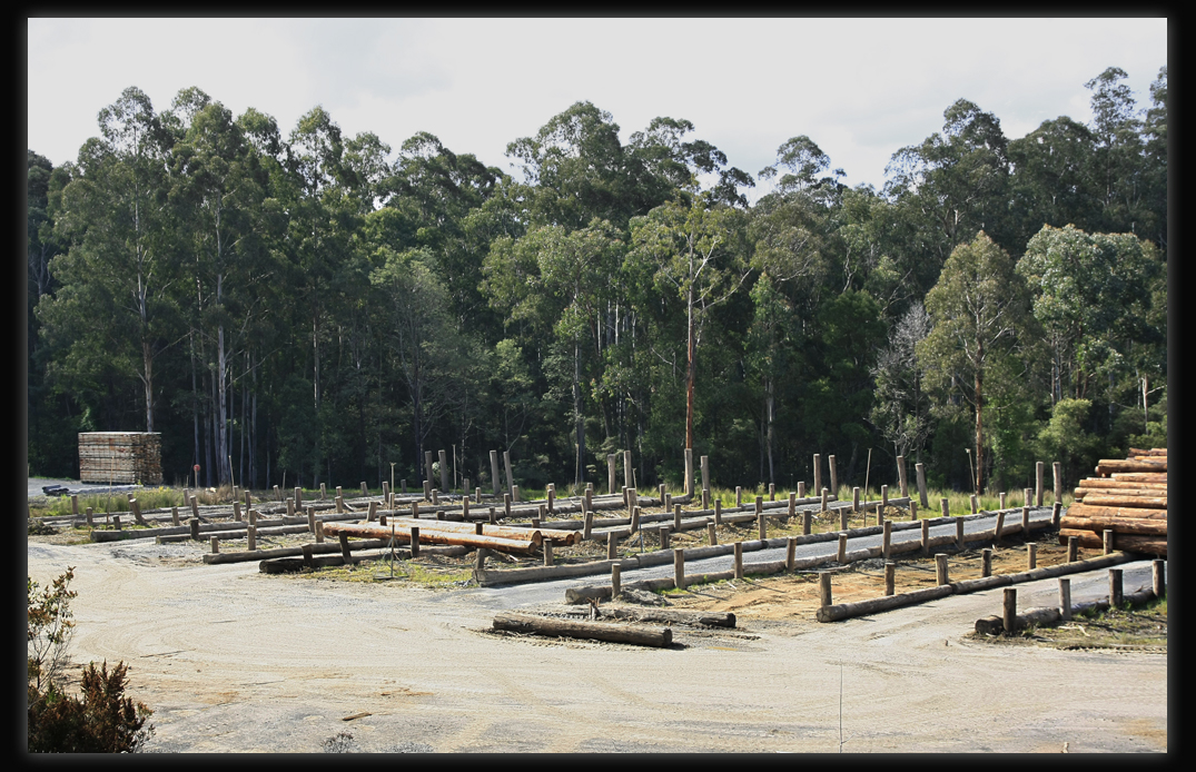 Powelltown Timber Mill