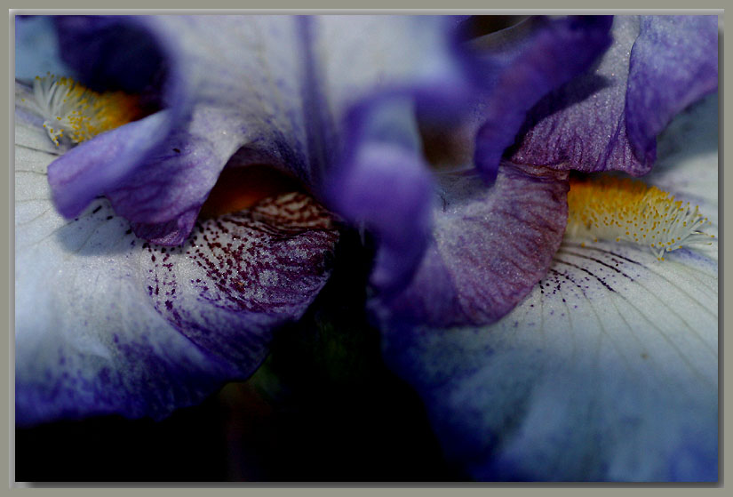 Up close...