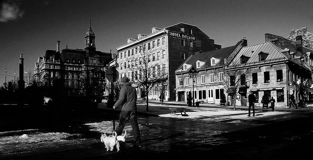 Walking with my dogs in the Old Montreal
