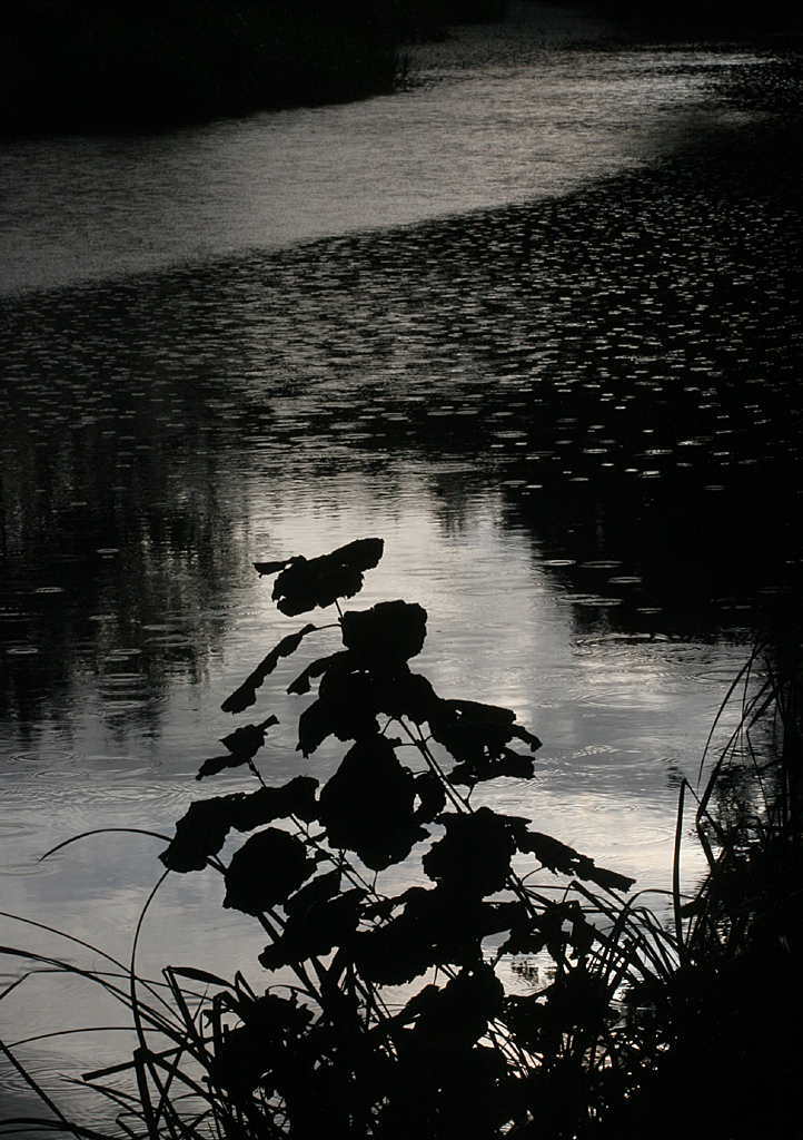 October 2 2006:  <br>  And then it rained