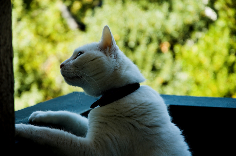 20060922 / Candid