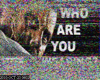 201010250602.jpg