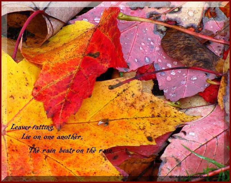 Autumn haiku