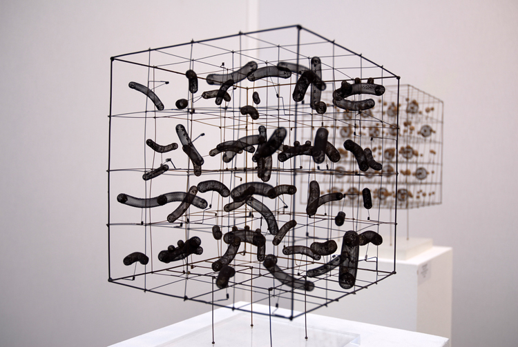 October 2006 - FIAC -