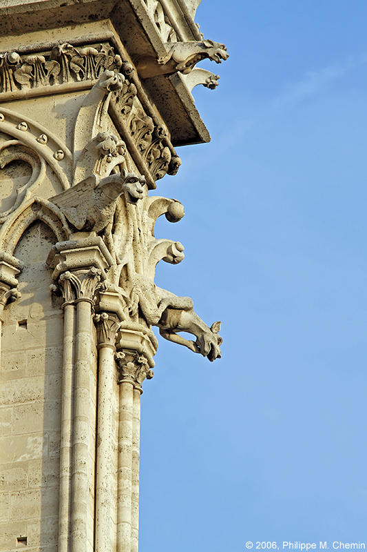 Chimaeras, demons and gargoyles - Chimères, démons et gargouilles