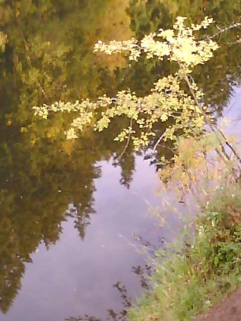 DSC00581.JPG
