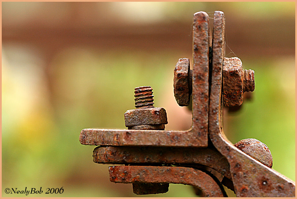 Old & Rusty November 1 *
