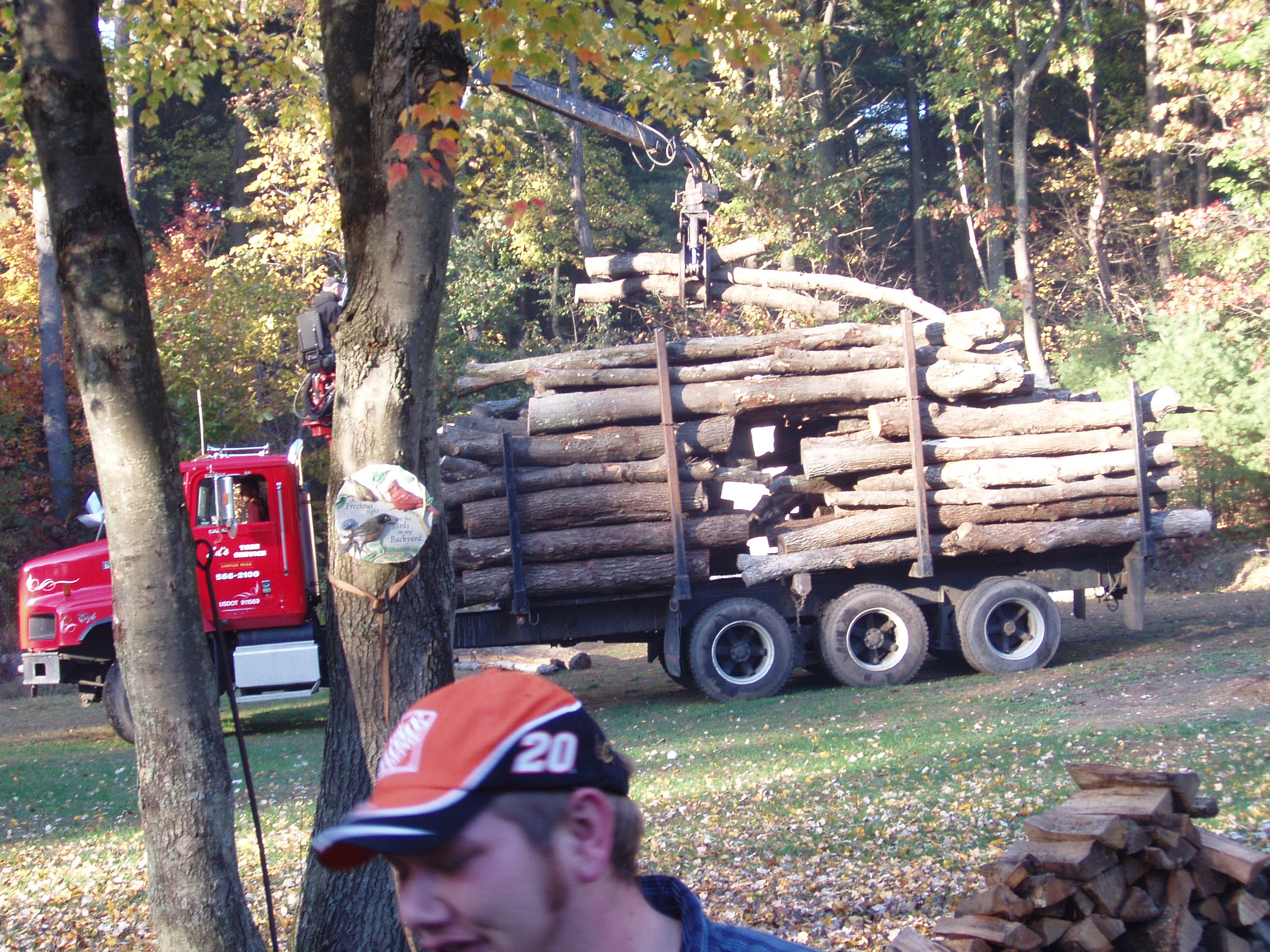 Log Truck