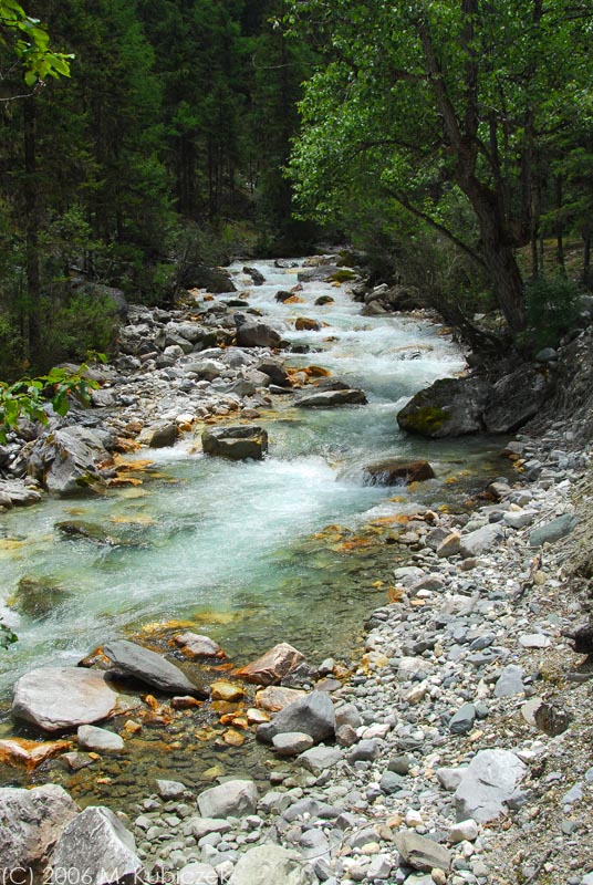 sh20.jpg