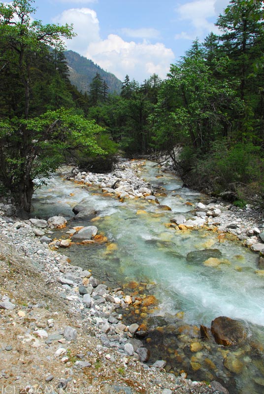 sh21.jpg