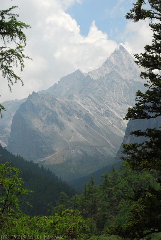 sh31.jpg