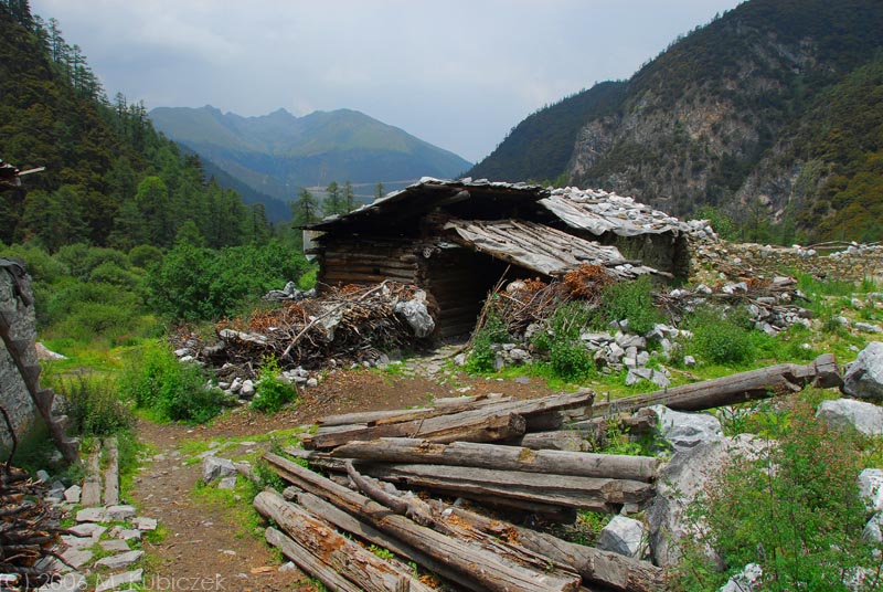 sh 37.jpg