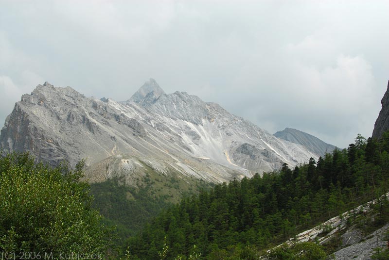 sh 44.jpg
