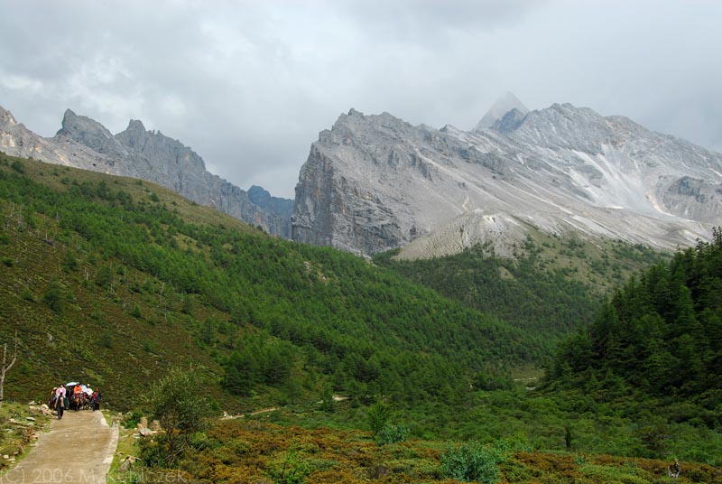 sh 46.jpg