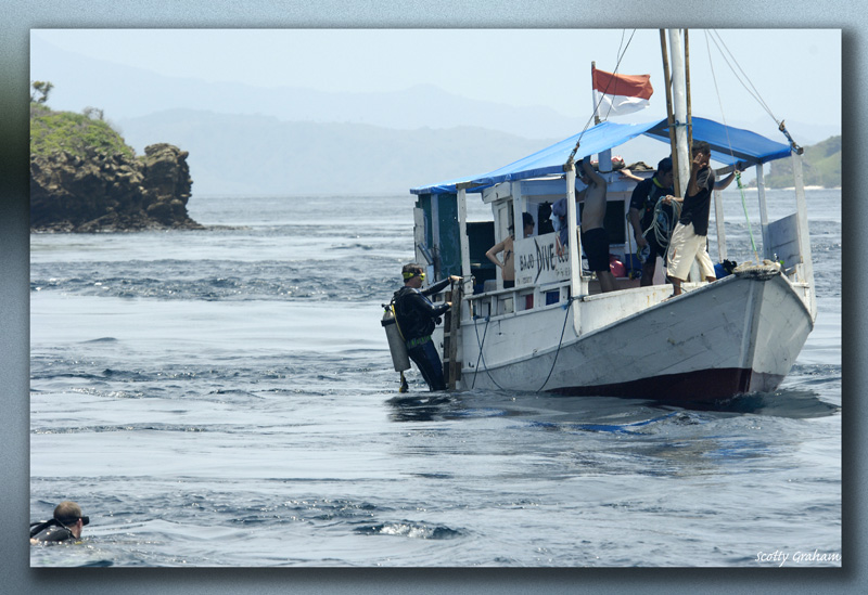 Komodo04.jpg