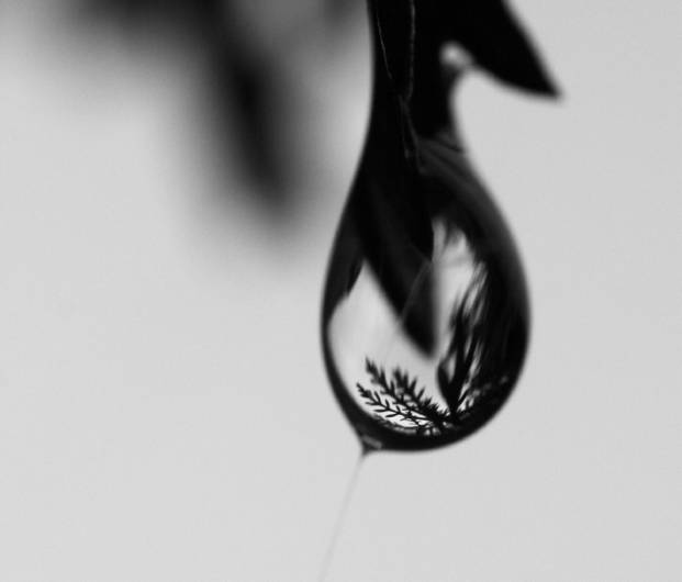 Droplet reflection